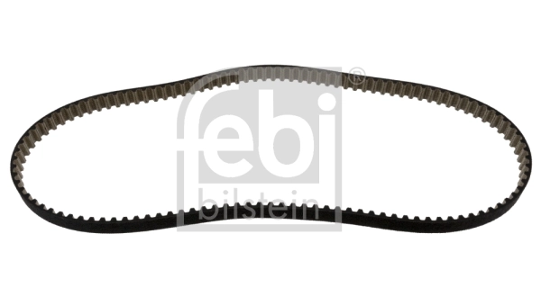 Timing Belt